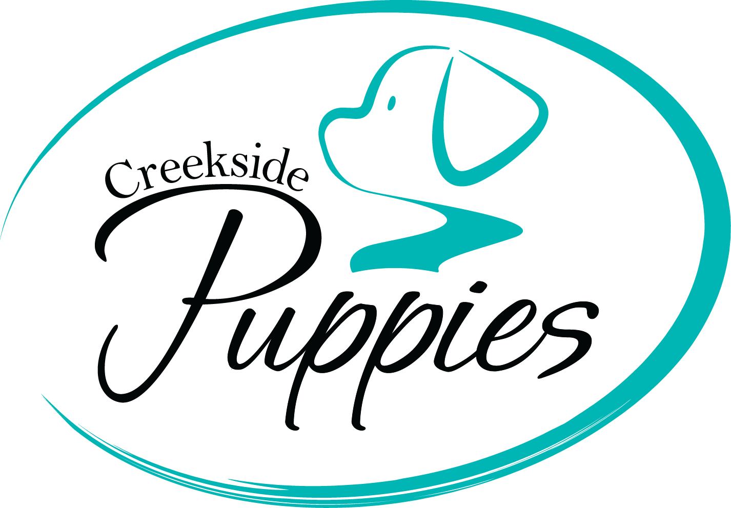 yorkies for sale near me